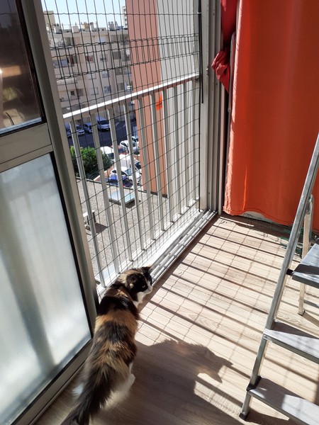 Filet de sécurité balcon pour chat - Duvo+